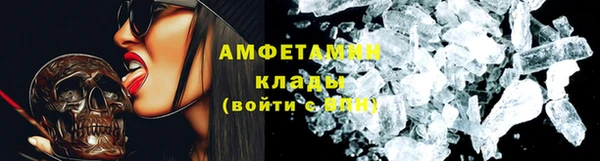 твердый Магас