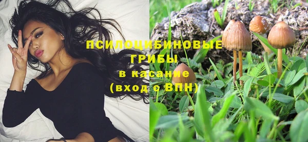 герыч Майский