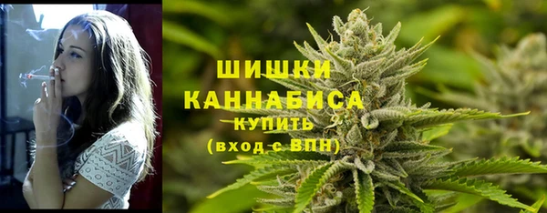 спайс Мегион