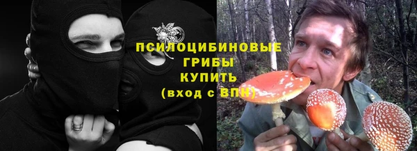 твердый Магас