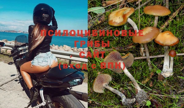 твердый Магас