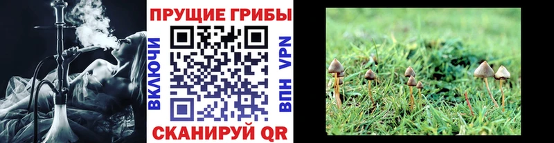 ОМГ ОМГ зеркало Белоозёрский Псилоцибиновые грибы ЛСД