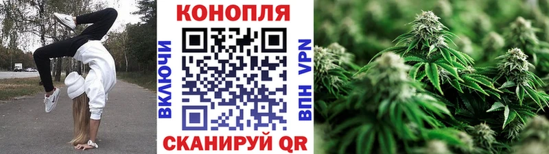 Бошки марихуана гибрид  блэк спрут как зайти  Белоозёрский 
